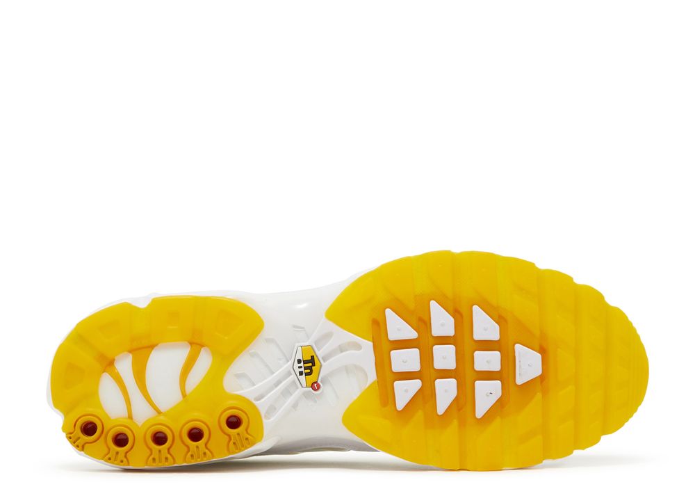 Air Max Plus SE 'Frank Rudy' Nike DQ8960 100 summit white/black