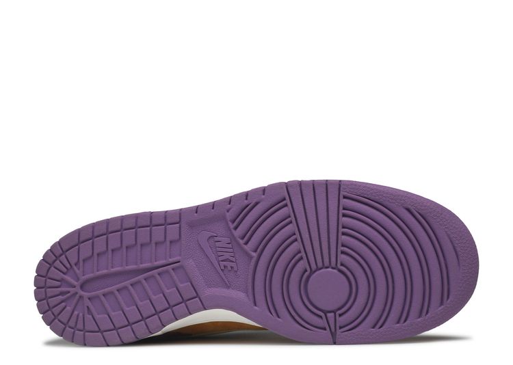 nike dunk low pro b viotech