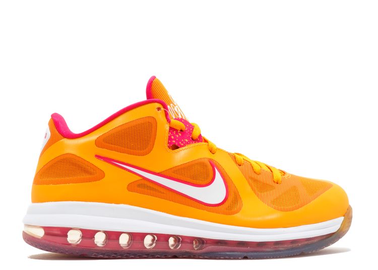 lebron 9 low top