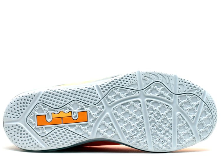 lebron 11 low floridian