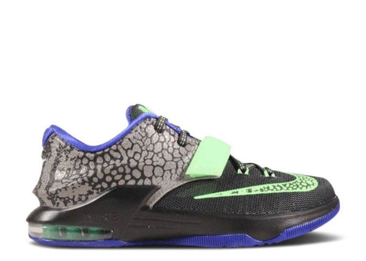 kd electric eels