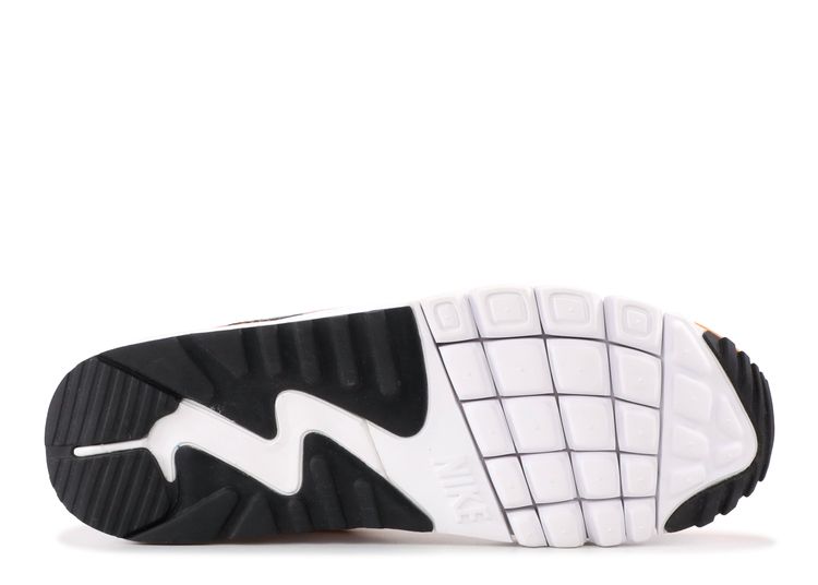 air max 90 current