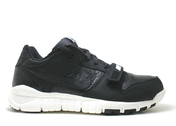 nike trainer dunk low