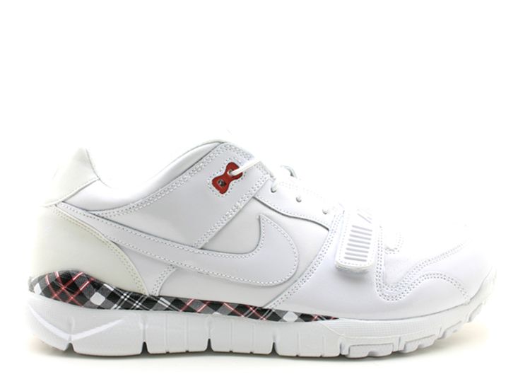 nike trainer dunk low