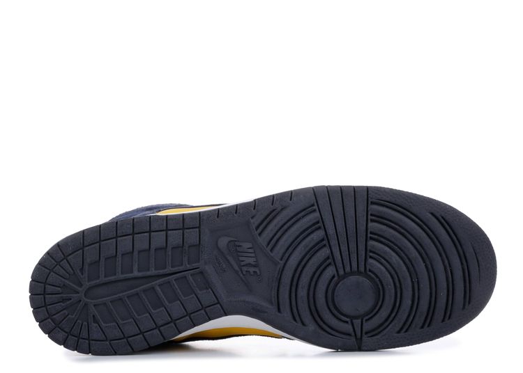 dunk high pro sb michigan