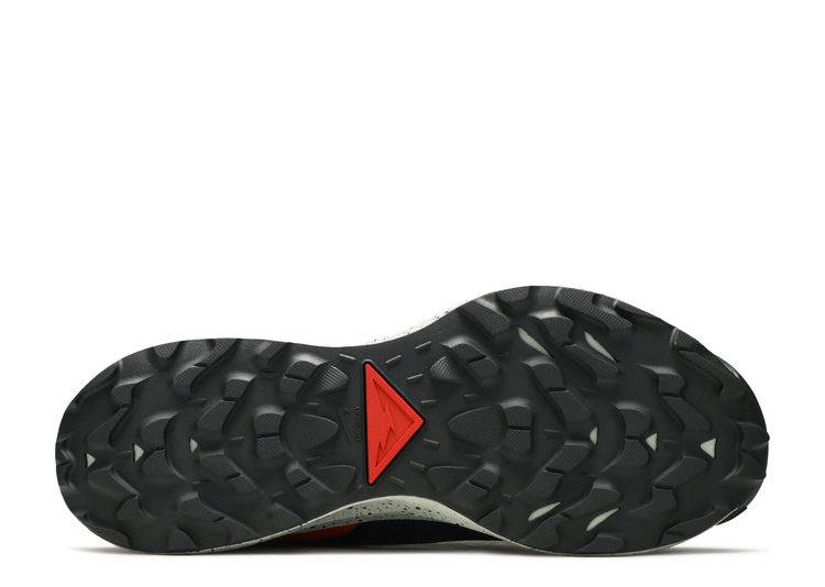 Pegasus Trail 2 GTX 'Dark Smoke Grey Bright Crimson' - Nike - DH0202 ...