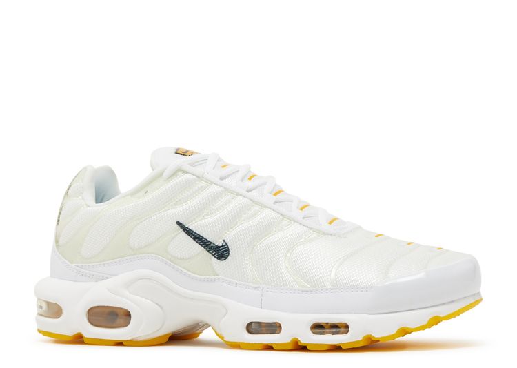 Air Max Plus SE 'Frank Rudy' Nike DQ8960 100 summit white/black