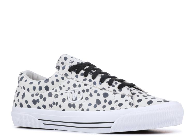 dalmatian vans