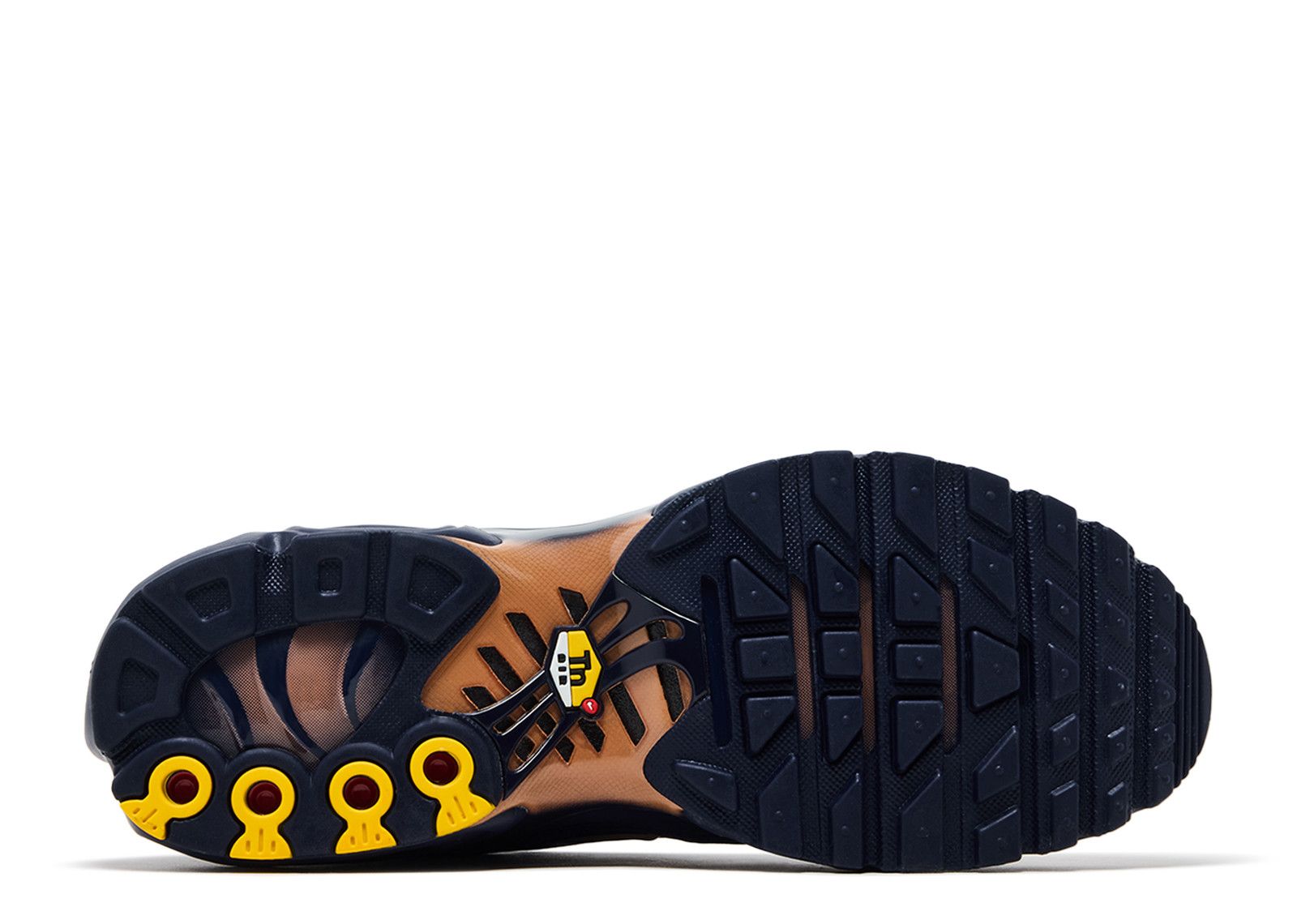 Nike Air Max Plus 'French Football Federation' - Nike - IQ0170 400