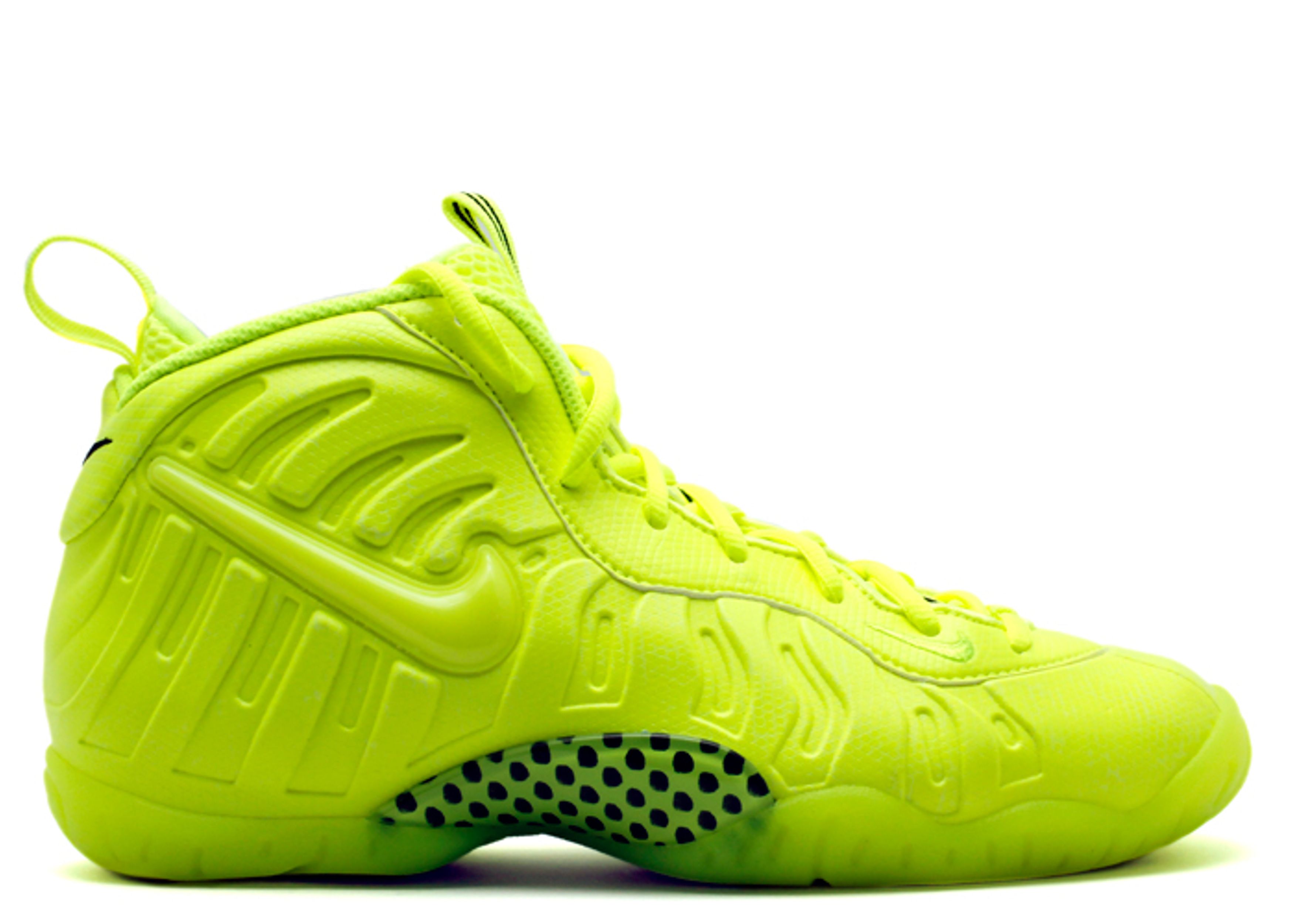 Air Foamposite Pro Premium LE BG 