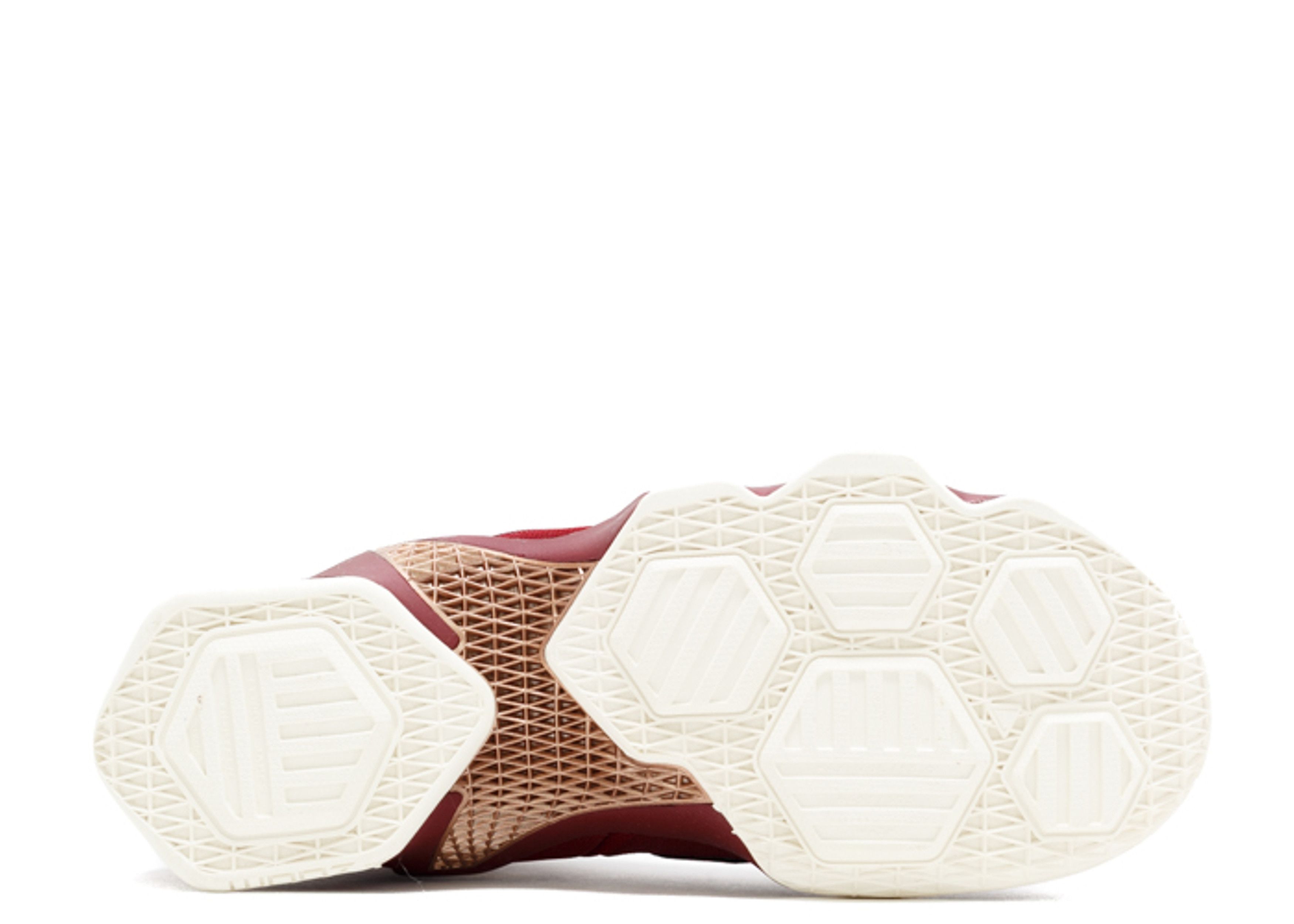 LeBron 13  display picture 1