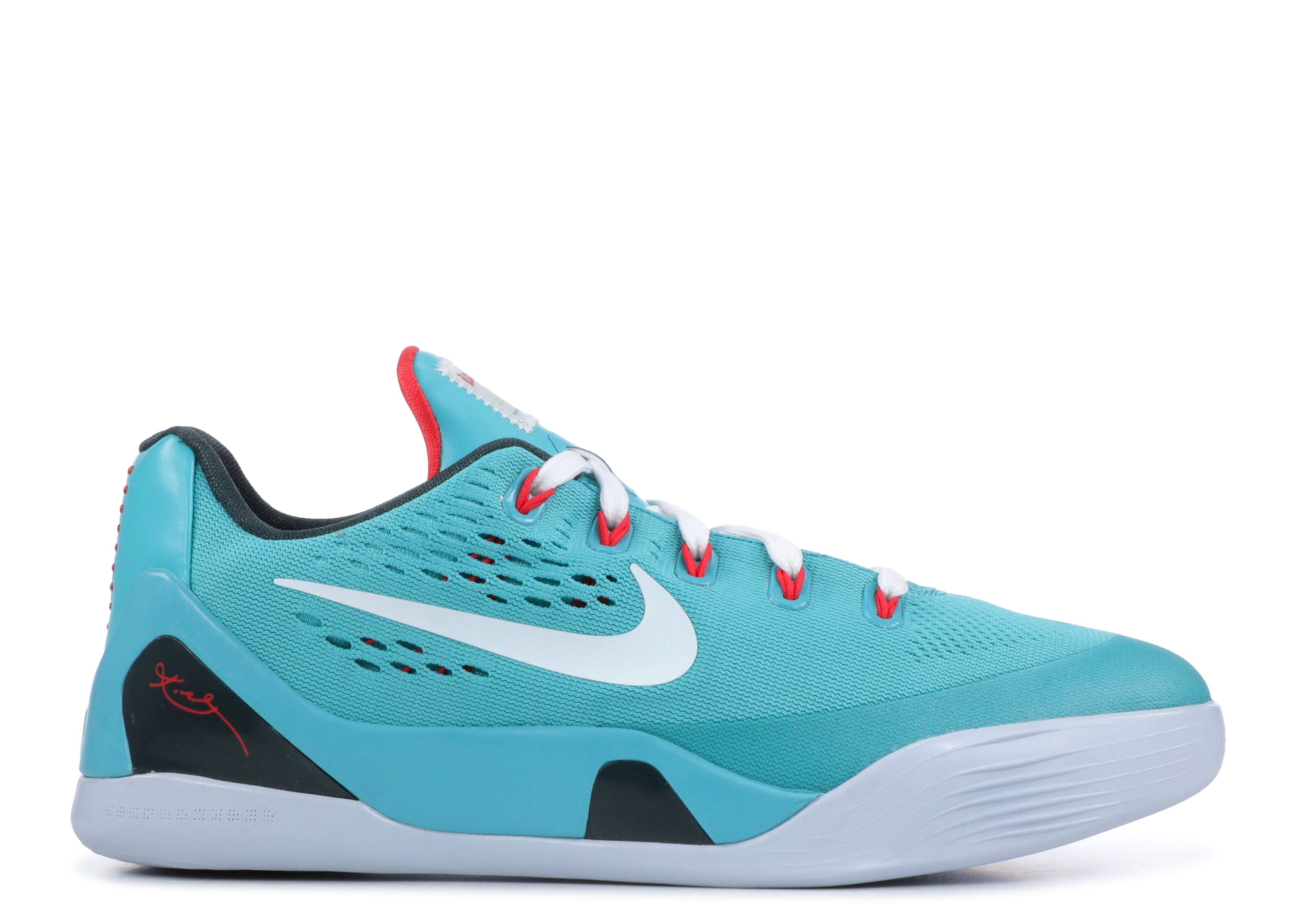 kobe dusty cactus