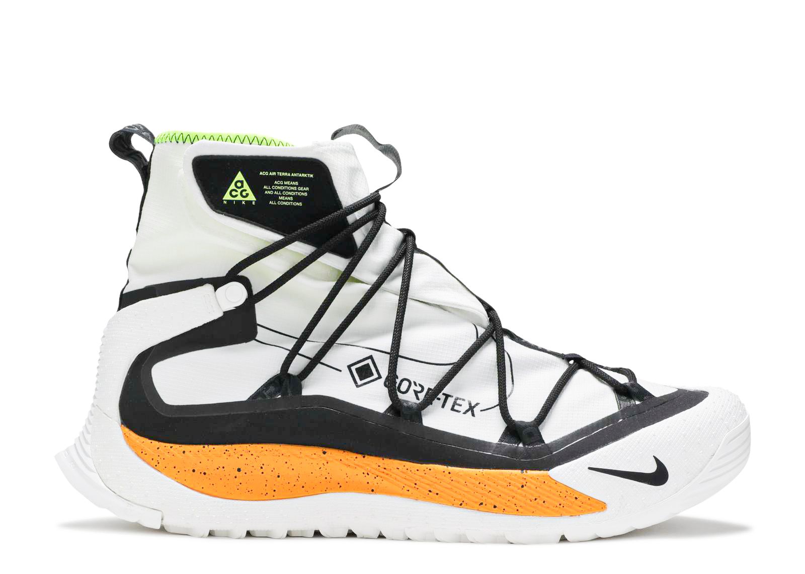 Nike ACG Air Terra Antarktik \