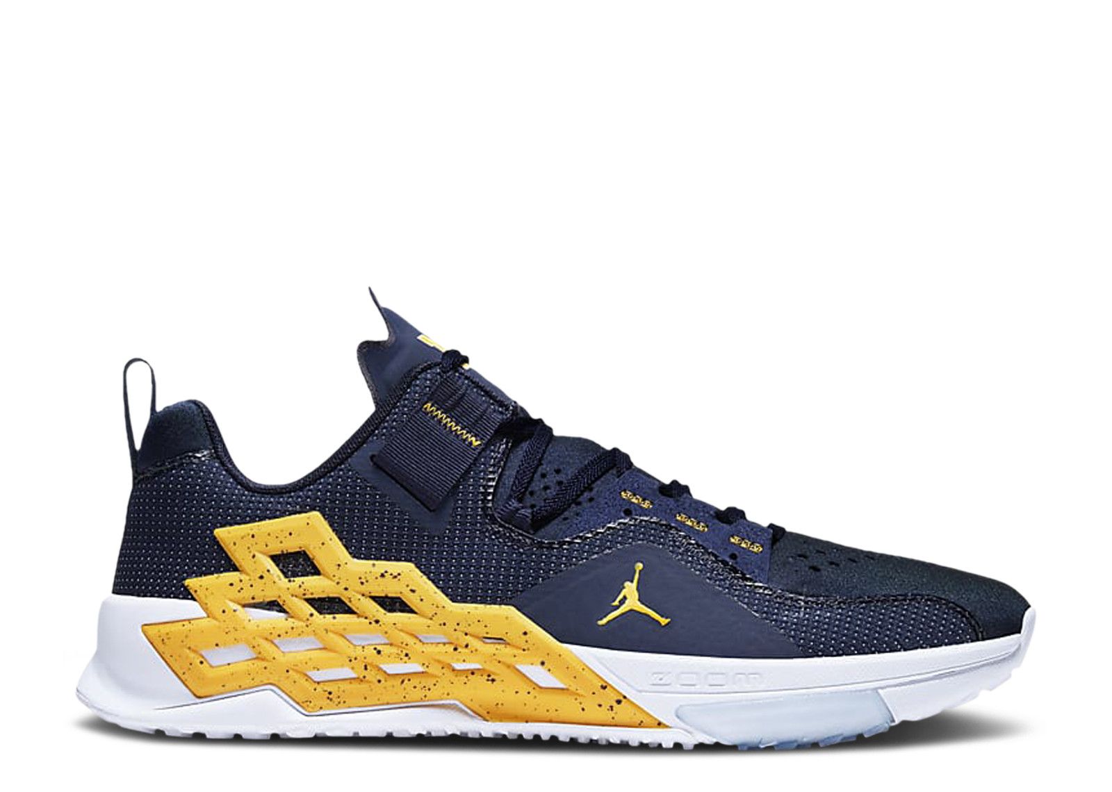 Jordan Alpha 360 TR 'Michigan'