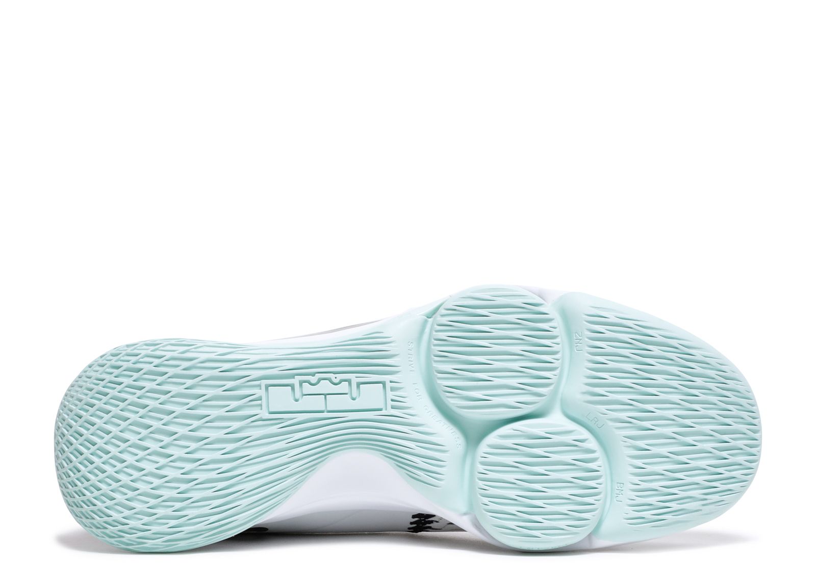 lebron witness 5 pure platinum