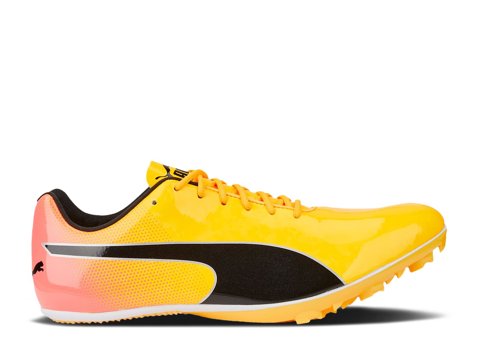 evoSpeed Sprint 14 'Sun Stream Sunset Glow'