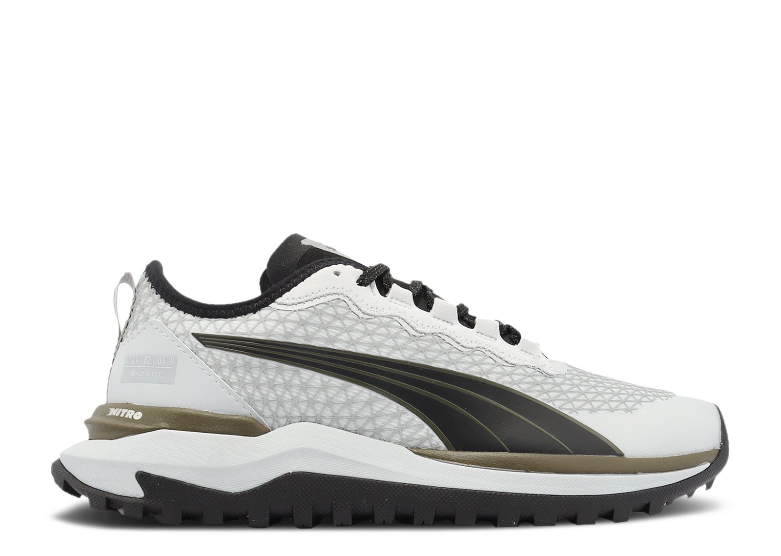 Voyage Nitro 2 GORE-TEX 'Platinum Grey'