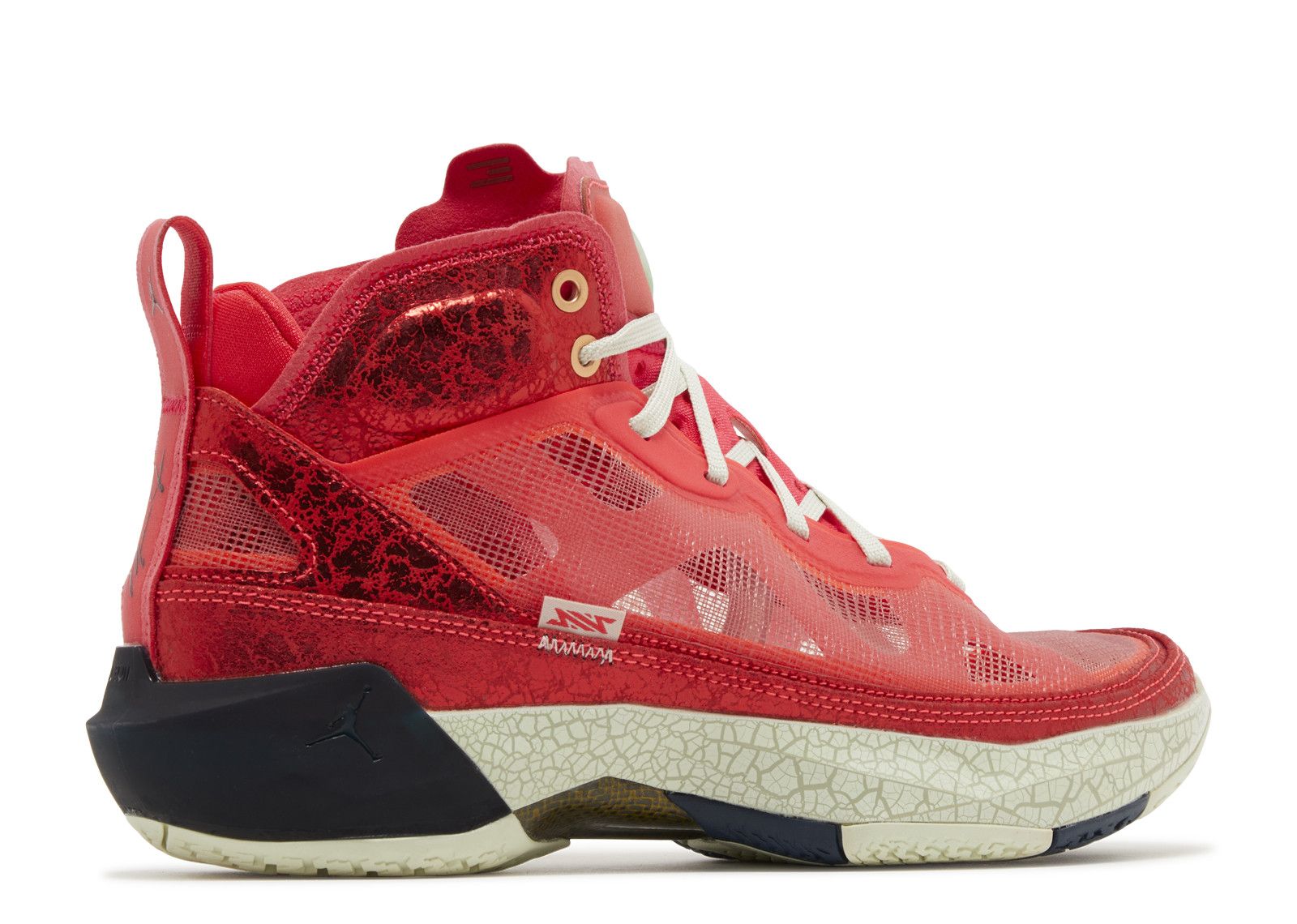 Rui Hachimura X Jordan 37 