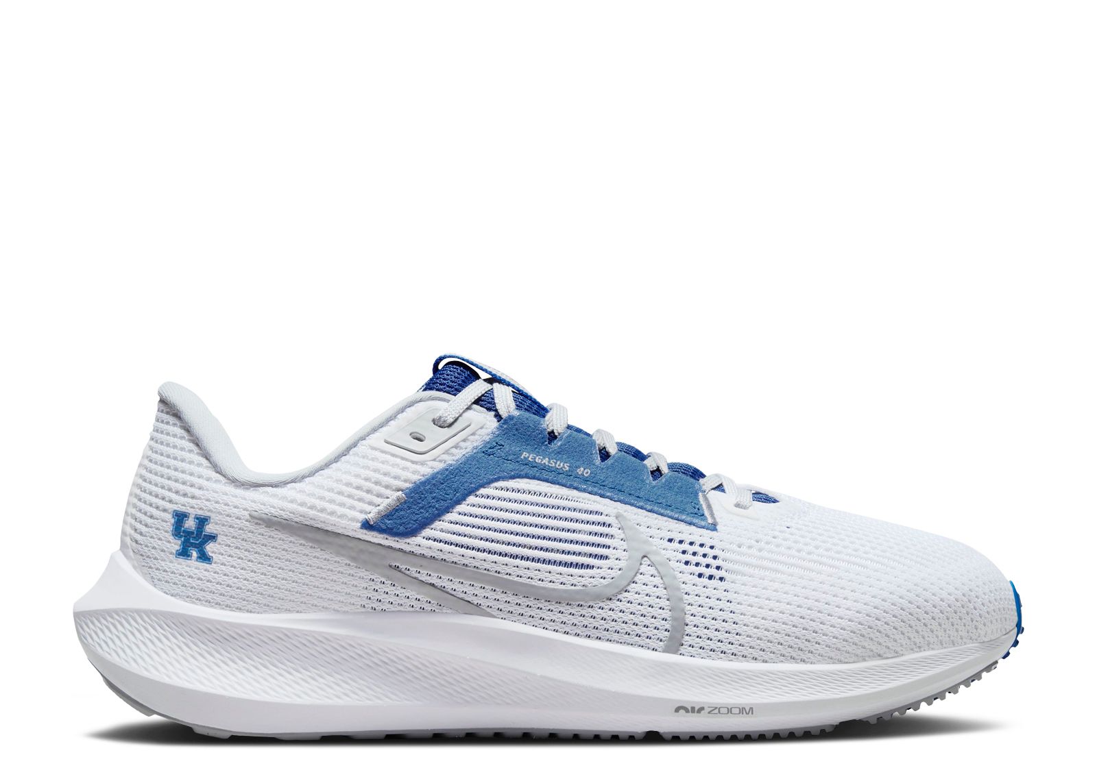 Air Zoom Pegasus 40 'Kentucky'