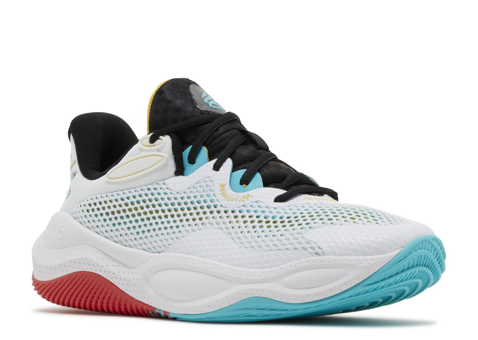 Curry Splash 24 