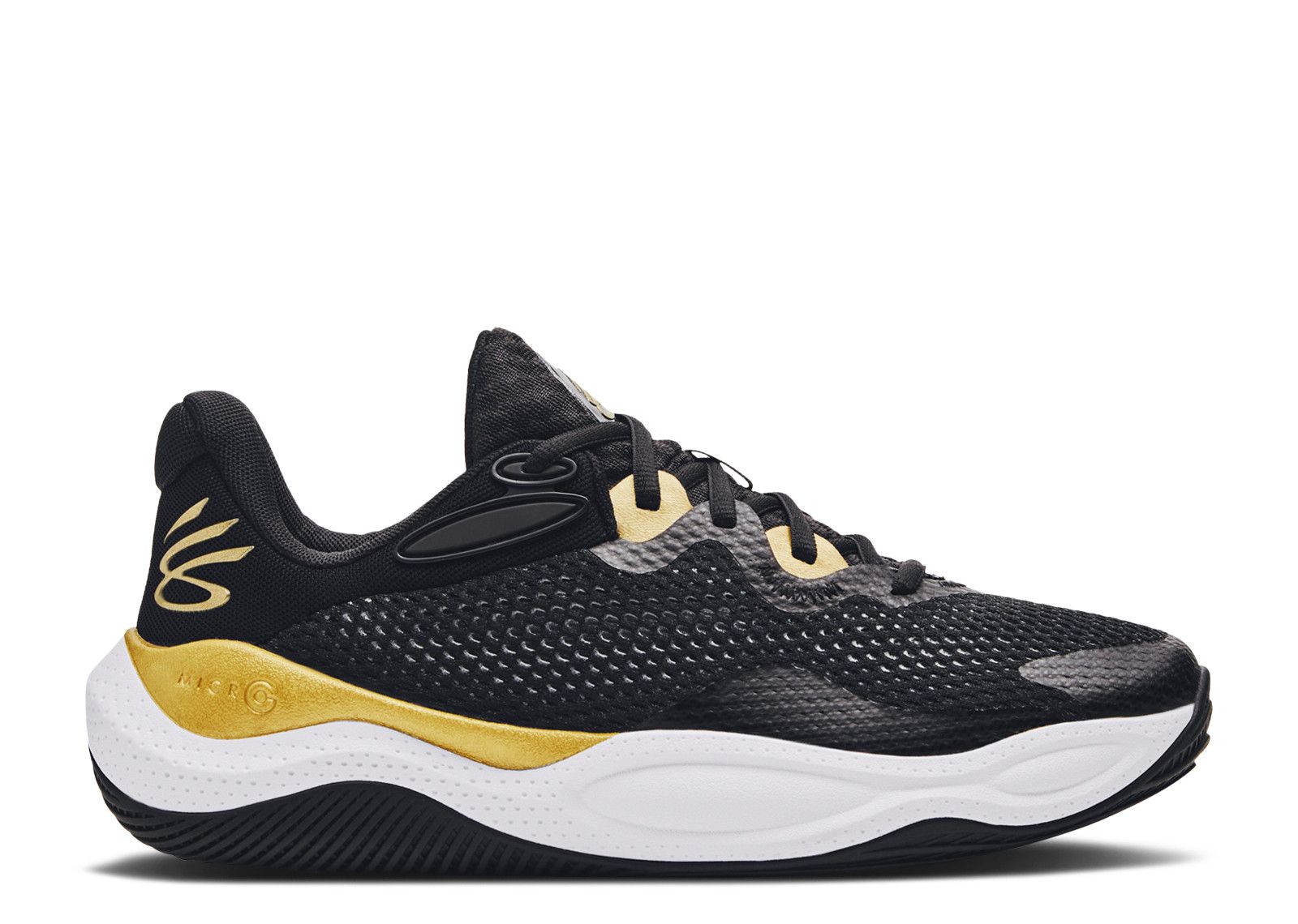 Curry Splash 24 AP 'Black Gold'