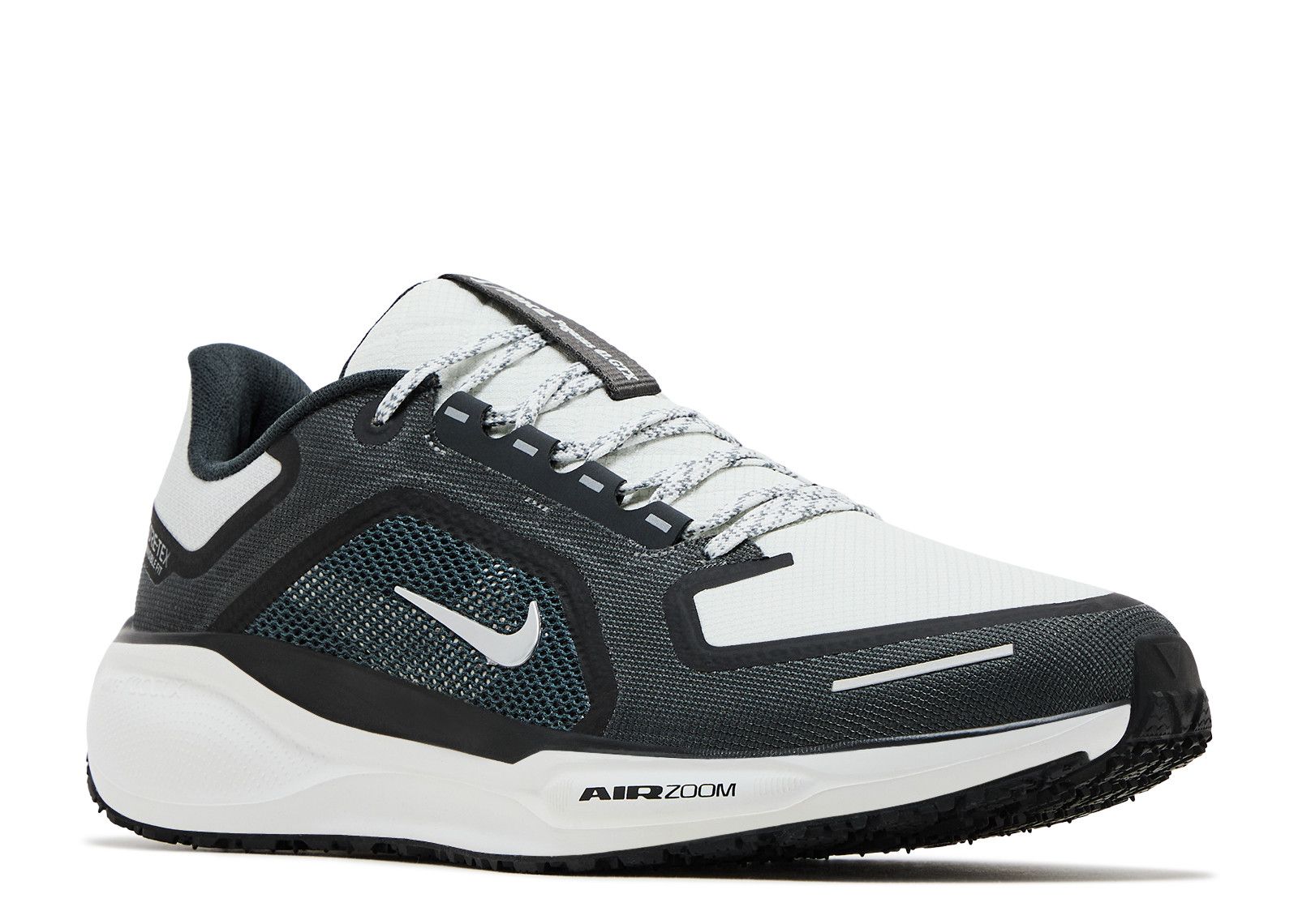 Air Zoom Pegasus 41 GORE TEX 