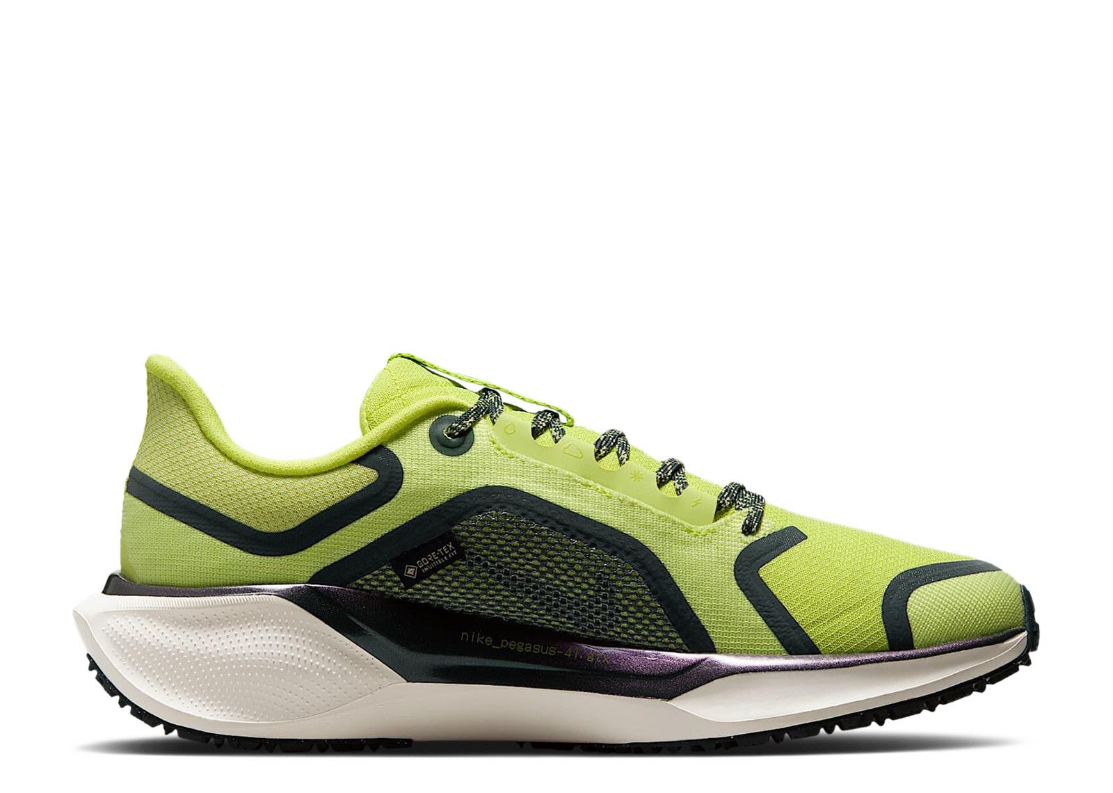 Wmns Air Zoom Pegasus 41 GORE TEX  display picture 1