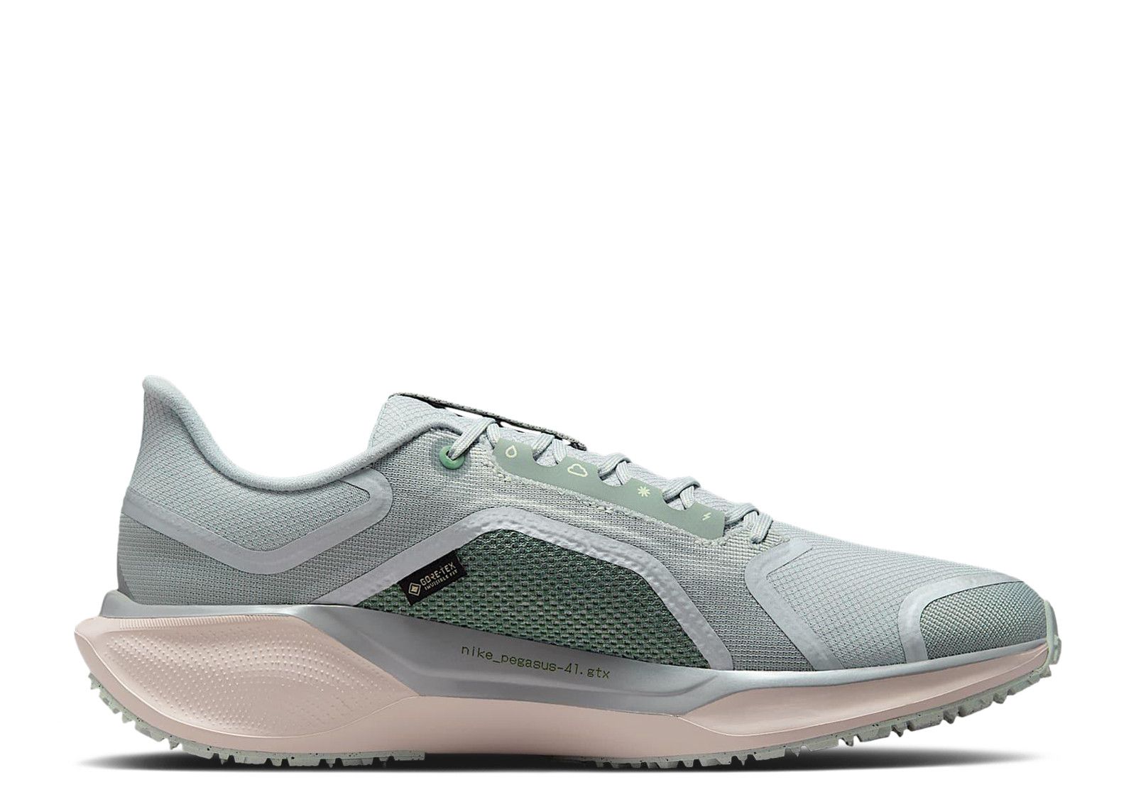 Air Zoom Pegasus 41 GORE TEX 