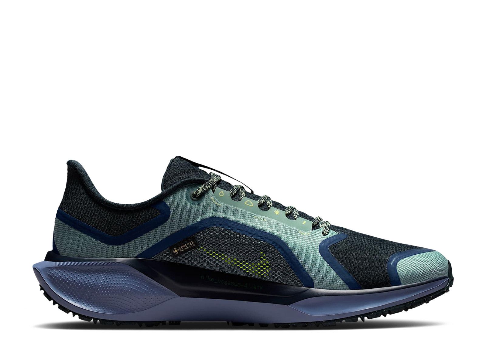 Nike Air Zoom Pegasus 41 GORE-TEX 'Cannon Obsidian'