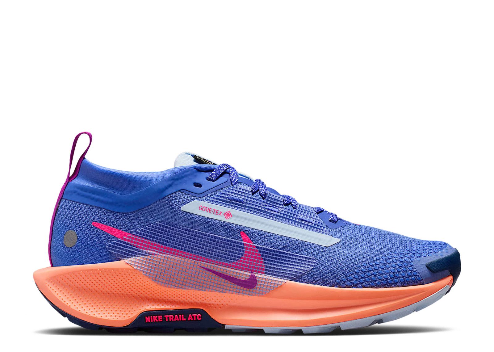 Nike Pegasus Trail 5 GORE-TEX 'Sapphire'