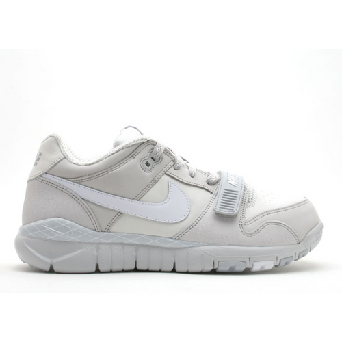 Nike Trainer Dunk Low - 315731-011