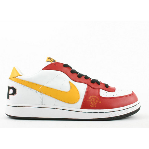 Terminator Dunks Nike Terminator Low 'Dtp Edition'